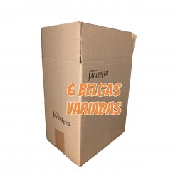 Lote 6 Cervezas Belgas - Las Cervezas de Martyn