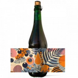 Destiny´s Wild Seabuckthorn 0,75L - Anderson’s Brewery