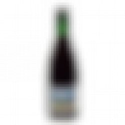 Cantillon kriek 2024   - Belgian Whalez