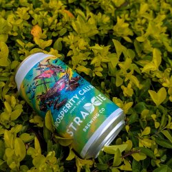 Straddie Prosperity Cali IPA Can 375ml - Saccharomyces Beer Cafe