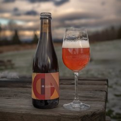 Hill Farmstead Brewery Nonconformist 13