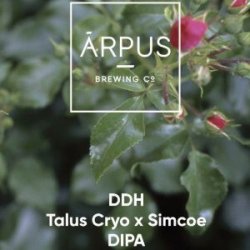 Arpus DDH Talus Cryo x Simcoe - Bierwinkel de Verwachting