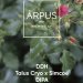 Arpus DDH Talus Cryo x Simcoe 