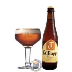 La Trappe Tripel 8° - 13L - BelgianShop