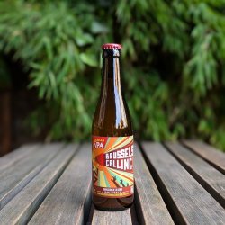 De la Senne Brussels Calling