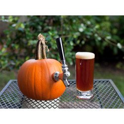 Cerveza Pumpking IPA - Minicervecería