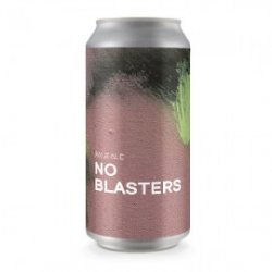 Boundary Brewing No Blasters Pale Ale - Craft Beers Delivered