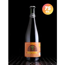 De Ranke  Grapevine Trebbiano d’Abbruzo  Lambic  6,5% - Quaff Webshop