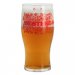 ANOSTEKE Beer Glass 50 cl 