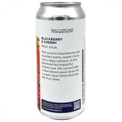 Cloudwater Blackberry & Cherry Sour - Beer Shop HQ